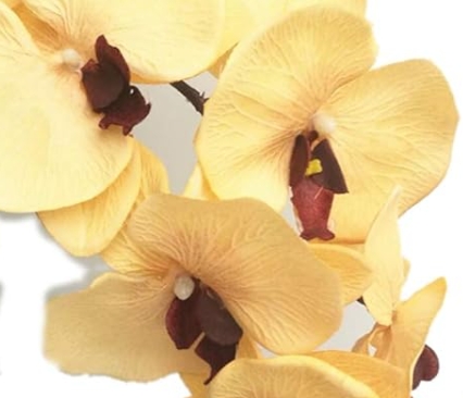 常知閣堪輿工作室